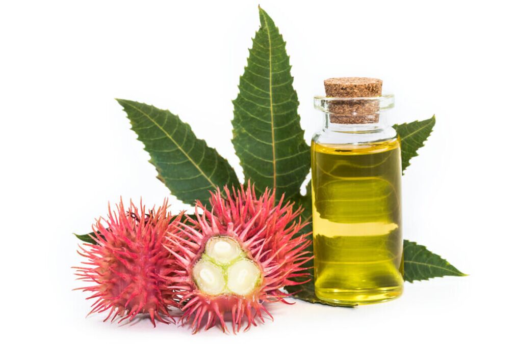 Huile de ricin – composition de la crème Proctonic